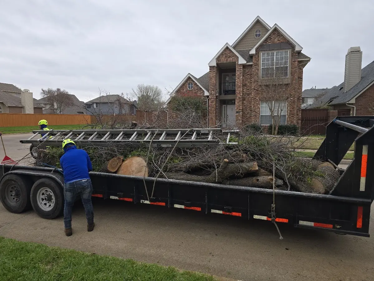 Expert Tree Fertilization with proper safety equipment in West Chester
